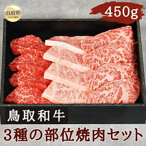 yӂ邳Ɣ[ŁzB25-051 a3̕ʏēZbg450g 挧  a  uh a  ē