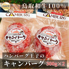 【ふるさと納税】鳥取和牛100％キャンバーグ_T2600061