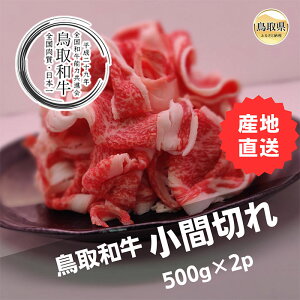 yӂ邳Ɣ[ŁzB25-001 aԐ؂@Ⓚ500g×2 挧  a  uh IC_