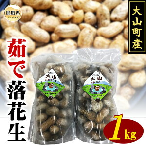 yӂ邳Ɣ[ŁzB25-040 RY 䥂ŗԐiII}T@1kgj 挧  R  W{Ԑ 䥗Ԑ