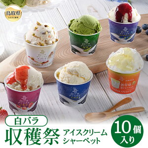 yӂ邳Ɣ[ŁzB25-045 n10