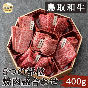 yӂ邳Ɣ[ŁzB25-023 a5̕ʏē킹400g 挧  a  uh [X  Ef