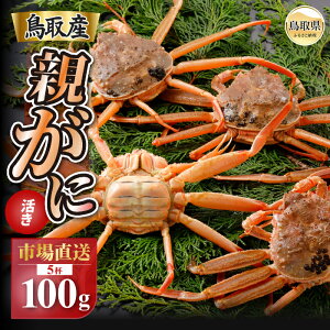 yӂ邳Ɣ[ŁzB25-054 y2025N11z挧Y  e pyZRKjziȂ܁jy󂠂z100g 5t