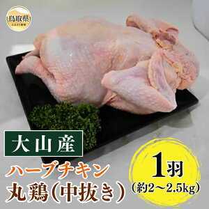 yӂ邳Ɣ[ŁzA24-258 RYn[u`Lی{ij 挧  R  {  1H ی{