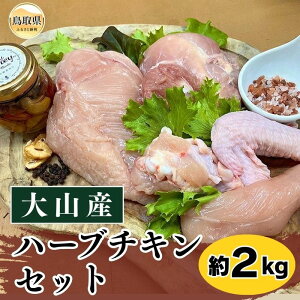 yӂ邳Ɣ[ŁzA24-257 RYn[u`LZbg 挧  R  RY n[u`L `L {  l TT~ H H 2kg