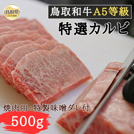 【ふるさと納税】鳥取和牛A5等級　特選カルビ 500g 焼肉用・特製味噌ダレ付_T2600258