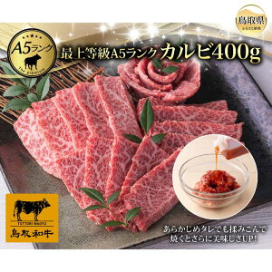 yӂ邳Ɣ[ŁzC25-029 ŏ㓙A5N aJr(400gji2`3lOj 挧  a uh a  Y