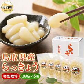 【ふるさと納税】鳥取県産 特別栽培らっきょう甘酢漬 160g×5袋 さっぱり食感_らっきょう らっきょ 鳥取県産 特別栽培_T2600030