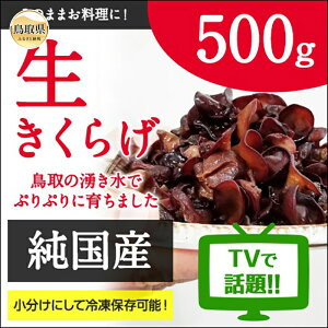 yӂ邳Ɣ[ŁzA24-164 Y炰500g|h{ՂvvH