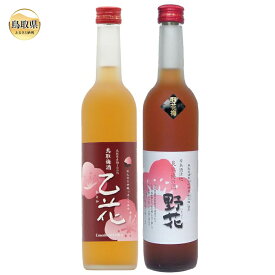 【ふるさと納税】A24-050 鳥取県の美味しい酒　梅酒　2本セットB
