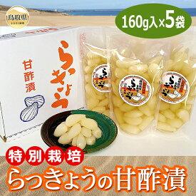 【ふるさと納税】A24-034 特別栽培らっきょうの甘酢漬