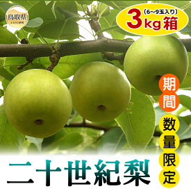 【ふるさと納税】A24-054 梨(二十世紀梨)【期間・数量限定】 鳥取県 おすすめ にじっせいき にじゅっせいき なし ナシ ジューシー 3kg