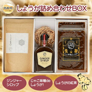 yӂ邳Ɣ[ŁzA24-307 傤lߍ킹BOX 挧  傤 WW[Vbv ႱX 傤g