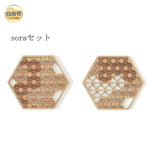 yӂ邳Ɣ[ŁzA24-303 gqlR[X^[@sora@2Zbg[