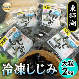 【ふるさと納税】東郷湖冷凍しじみ（大粒） 2kg 数量限定 鳥取県 おすすめ 黒いダイヤ 活しじみ 汽水湖 朝採れ 蜆 シジミ 貝_T2600034