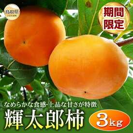 【ふるさと納税】柿(輝太郎柿)【期間限定】_T2600263