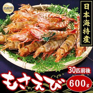 yӂ邳Ɣ[ŁzB24-072 TGr 挧   600g Gr CV NURGr