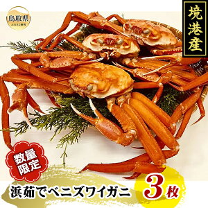 yӂ邳Ɣ[ŁzB24-020 l䥂ŃxjYCKj3i܂ށj 挧  xjYCKj {C 400g×3 `Y   Kj I