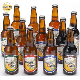 【ふるさと納税】B24-096 大山Gビール飲み比べ12本セット　GB−12 鳥取県 おすすめ 大山 だいせん 飲料 クラフトビール ヴァイツェン ピルスナー ペールエール スタウト 大山Gビール