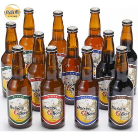 【ふるさと納税】B24-096 大山Gビール飲み比べ12本セット　GB−12【数量限定】