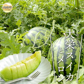 【ふるさと納税】大栄スイカ（秀5kg以上）と旬のメロンセット（1kg以上）【期間・数量限定】_T2600183