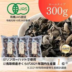 yӂ邳Ɣ[ŁzB24-481 Y L@JBSF 炰300g