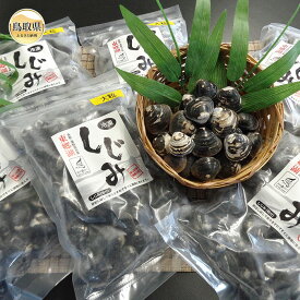 【ふるさと納税】C24-012 東郷湖冷凍しじみ（大粒） 3kg 鳥取県 おすすめ 黒いダイヤ 活しじみ 汽水湖 朝採れ 蜆 シジミ 貝