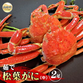 【ふるさと納税】茹で　松葉かに(足欠)　中サイズ2尾入【期間・数量限定】_T2600142
