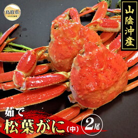 【ふるさと納税】C24-047 茹で　松葉かに（足欠け）中サイズ　2尾入【期間・数量限定】 鳥取県 おすすめ 茹で かに がに ガニ 蟹 松葉ガニ ズワイガニ