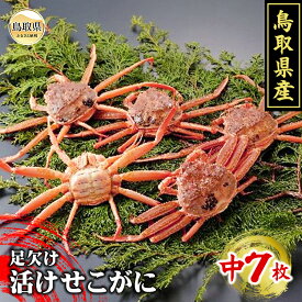 【ふるさと納税】C24-087 鳥取県産　足欠け活せこがに（中7枚）【期間限定】 鳥取県 おすすめ かに がに ガニ 蟹 せこがに