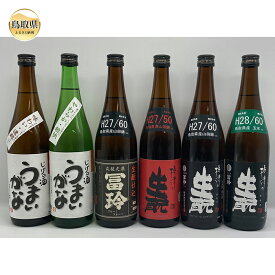 【ふるさと納税】D24-011 鳥取県の美味しい酒　日本酒　6本セットB