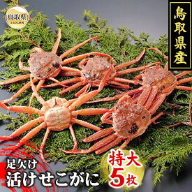 【ふるさと納税】D24-044 鳥取県産　足欠け活せこがに（特大5枚）【期間限定】 鳥取県 おすすめ かに がに ガニ 蟹 せこがに