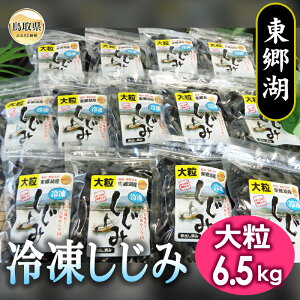 yӂ邳Ɣ[ŁzE24-008 ΗⓀ݁i嗱j 6.5kg 挧  _C  D ̂  VW~ L