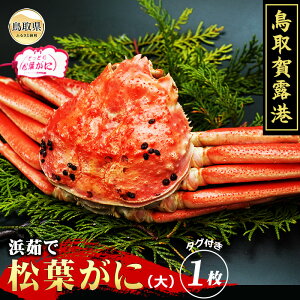 yӂ邳Ɣ[ŁzE25-011 I`@l䥂ŏtɁijyԌz挧  I` {C ^Ot l䥂   Kj I tKj YCKj