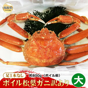 yӂ邳Ɣ[ŁzE24-097 yqz1{Ȃ{CtKj󂠂  800gi{COjyԌz 挧  {C   Kj I tKj YCKj