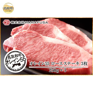 yӂ邳Ɣ[ŁzE24-018 aIC55[XXe[L 挧  a a  [X Xe[L uha IC55 Y 250g×3