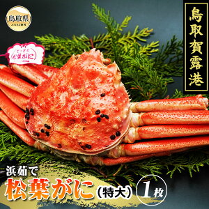 yӂ邳Ɣ[ŁzF25-007 I`@v~Al䥂ŏtɁyԌz挧  I` {C l䥂   Kj I tKj YCKj