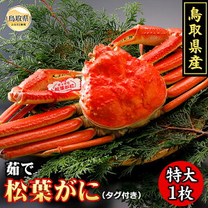 yӂ邳Ɣ[ŁzF24-006 挧Y@䥂ŏtɁyԌz 挧  {C ^Ot 䥂   Kj I tKj YCKj