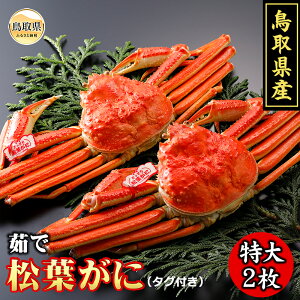yӂ邳Ɣ[ŁzF24-007 挧Y@䥂ŏt2yԌz 挧  {C ^Ot 䥂   Kj I tKj YCKj