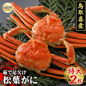 yӂ邳Ɣ[ŁzF24-008 挧Y@䥂őt2yԌz 挧  {C 䥂   Kj I tKj YCKj