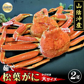 【ふるさと納税】F24-015 【特撰】茹で　松葉かに　タグ付き　大サイズ　2尾入【期間・数量限定】 鳥取県 おすすめ ボイル 茹で かに がに ガニ 蟹 松葉ガニ ズワイガニ