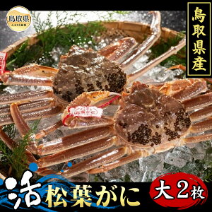 yӂ邳Ɣ[ŁzF24-064 挧Y@tɁi^Otj2yԌz 挧  ^Ot   Kj I tKj YCKj