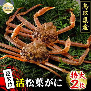 yӂ邳Ɣ[ŁzF24-065 挧Y@tɁi2jyԌz 挧    Kj I tKj YCKj