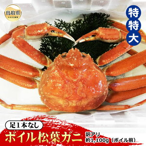 yӂ邳Ɣ[ŁzF24-071 yqz1{Ȃ{CtKj󂠂  1,100gi{COjyԌz 挧  {C   Kj I tKj YCKj