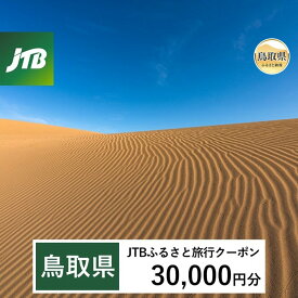 【ふるさと納税】F24-117 【鳥取県】JTBふるさと旅行クーポン（Eメール発行）30,000円分