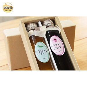 yӂ邳Ɣ[Łz25-010 iΕpjS-7 ~gVbvGLiZAVbvZbg