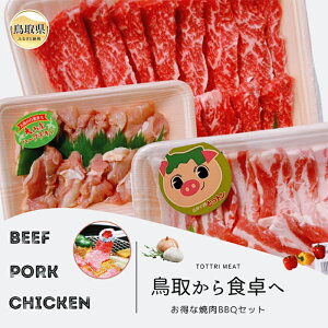 yӂ邳Ɣ[Łz24-010 挧Y ēZbg 1kg(3`5lO)  ؓ { Ă o[xL[ BBQ t@~[Zbg