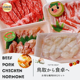 【ふるさと納税】が24-011 鳥取県産 焼肉セット 1.2kg (3〜5人前） ホルモン 牛肉 豚肉 鶏肉 焼き肉 バーベキュー BBQ ファミリーセット