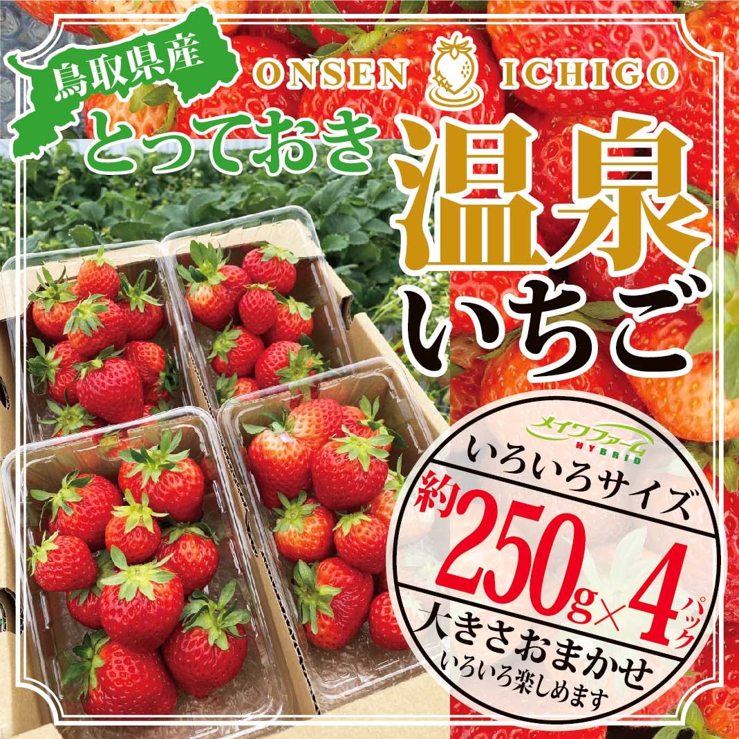 【ふるさと納税】732 鳥取県産とっておき「温泉いちご」大きさいろいろ詰め合わせ １キロ 送料無料 苺 イチゴ フルーツ 果物 １ｋｇ