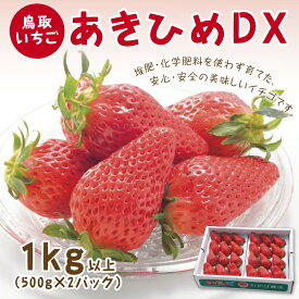 【ふるさと納税】0533 あきひめDX 1kg【鳥取いちご】(とみハウス)　　苺